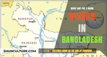 Exploring Bangladesh's Lifelines: The Three Major Rivers Shaping the Nation