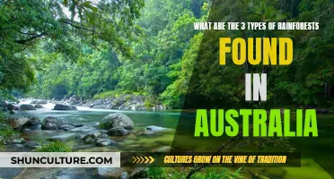 Exploring Australia's Diverse Rainforest Types and Their Uniqueness