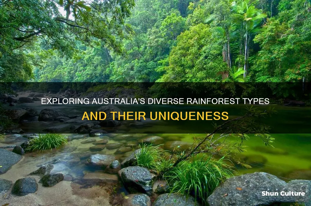 what are the 3 types of rainforests found in australia