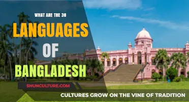 Exploring Bangladesh's Rich Linguistic Diversity: 38 Languages and Dialects