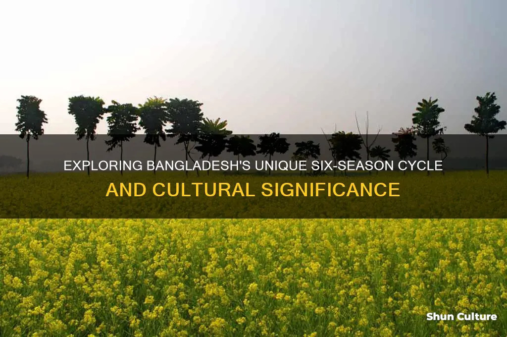 what are the 6 seasons in bangladesh