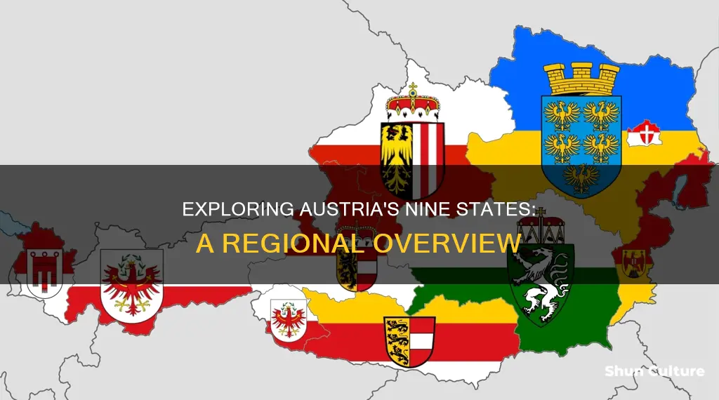 what are the 9 states in austria