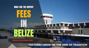 Belize Airport Fees: What to Expect