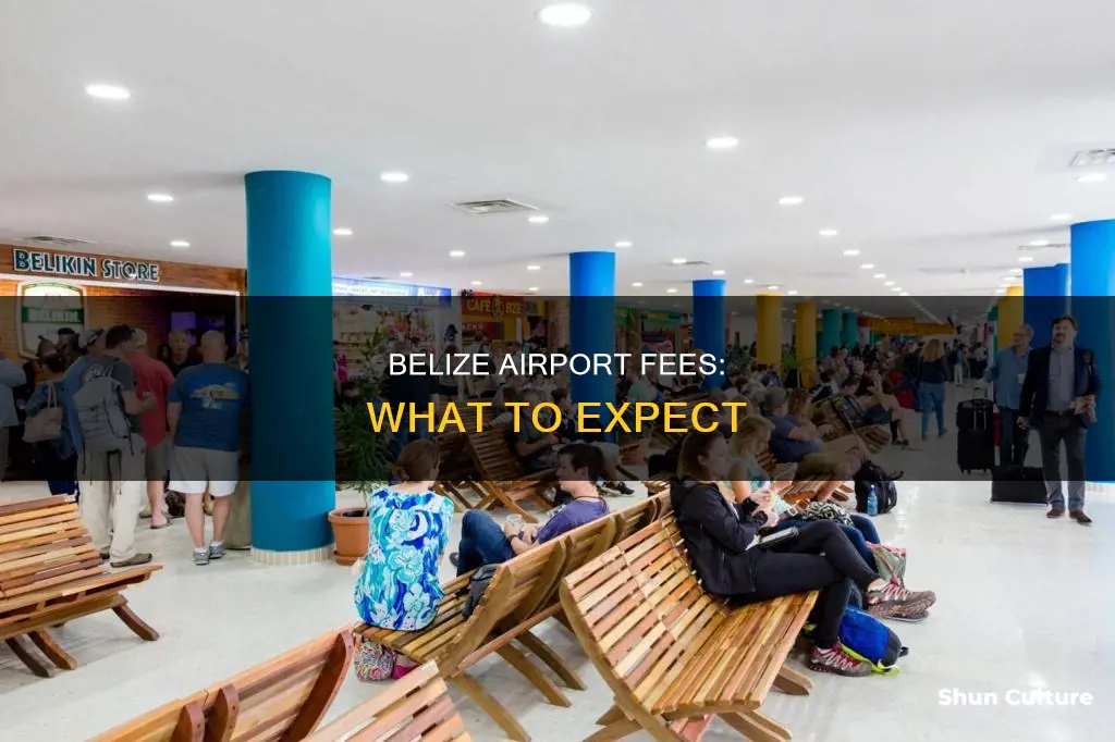 what are the airport fees in belize