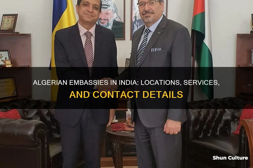 what are the algerian embassies in india