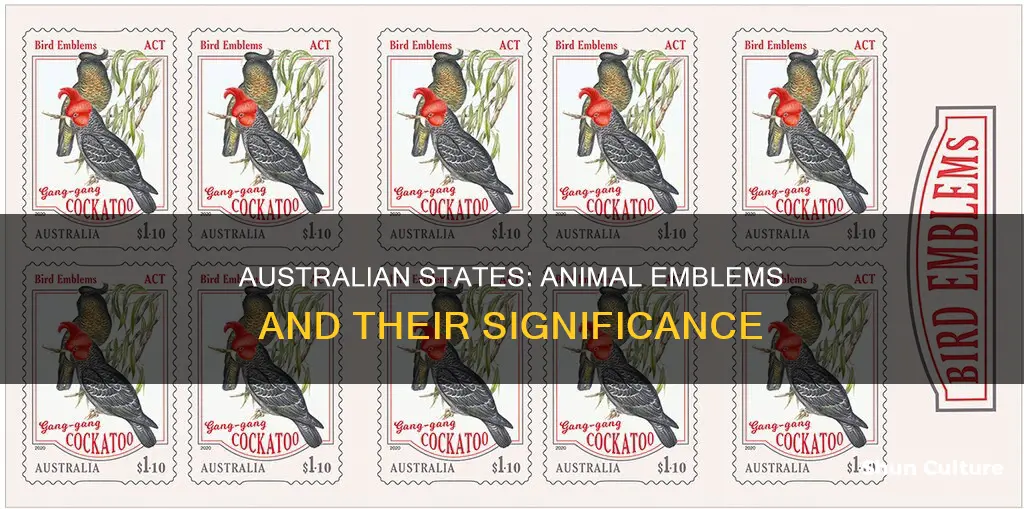 what are the animal emblems of australian states