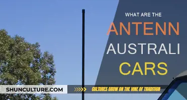 Car Antennas: Australian Style