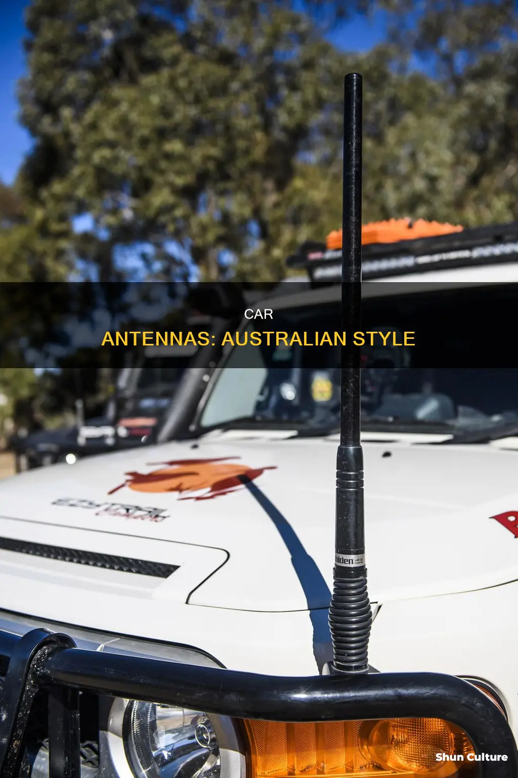 what are the antennas australian cars
