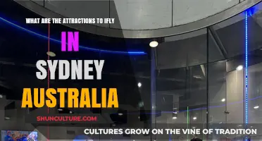 Discover Sydney's iFly: Top Attractions and Thrilling Experiences