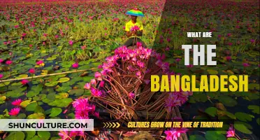 Exploring Bangladesh: Culture, History, and Natural Wonders Unveiled