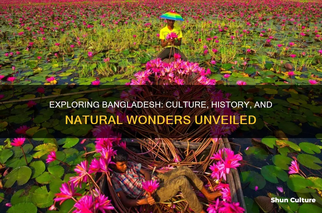 what are the bangladesh