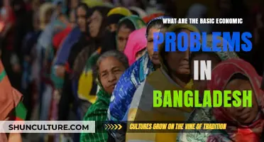 Understanding Bangladesh's Core Economic Challenges: Poverty, Inequality, and Growth