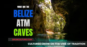 Exploring the Ancient Secrets of Belize's ATM Caves