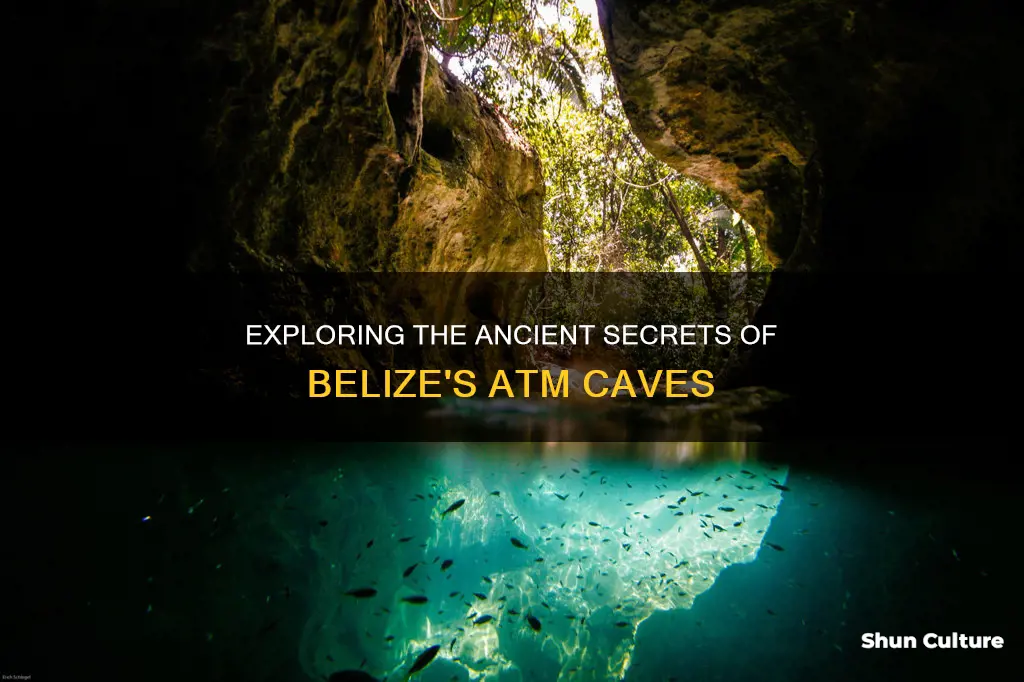 what are the belize atm caves