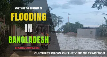 Flooding in Bangladesh: Uncovering the Surprising Environmental and Agricultural Benefits