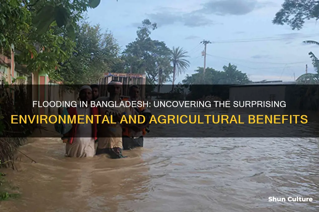 what are the benefits of flooding in bangladesh