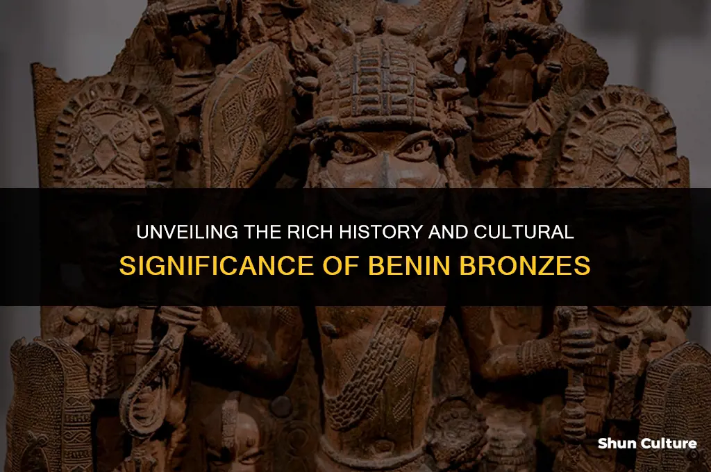 what are the benin bronzes
