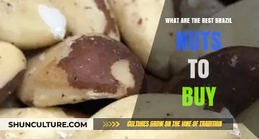 Top Brazil Nuts to Buy: Quality, Taste, and Health Benefits