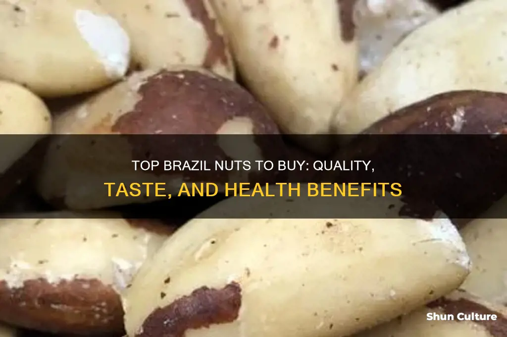 what are the best brazil nuts to buy