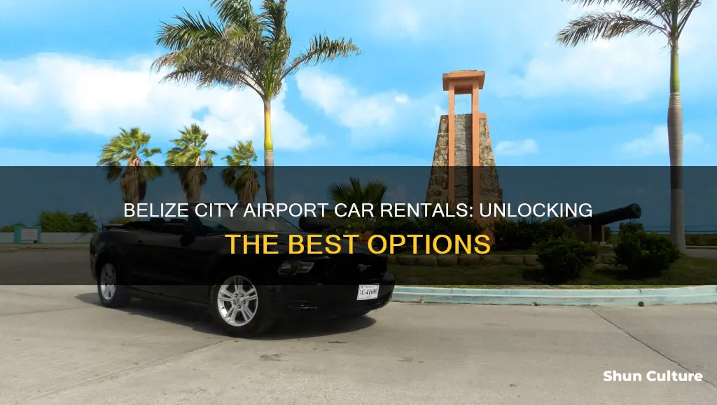 what are the best car rentals belize city airport