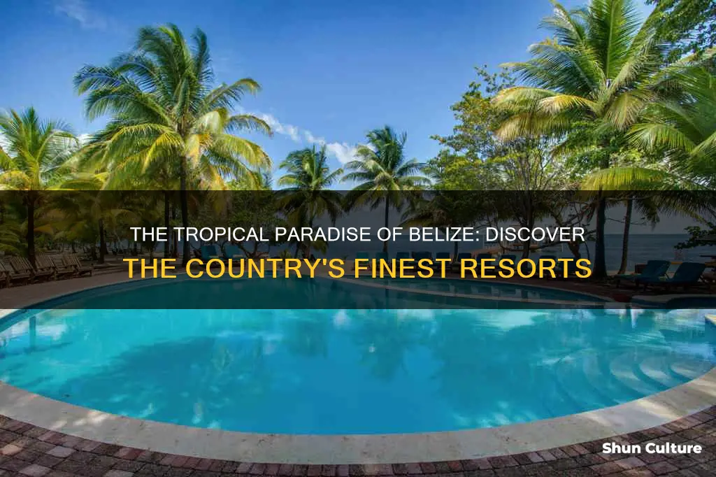 what are the best resorts in belize