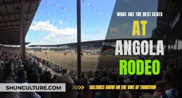 Best Seats for Angola Rodeo: Where to Book