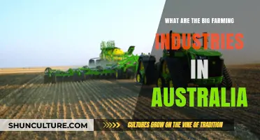 Australia's Top Farming Industries: An Overview