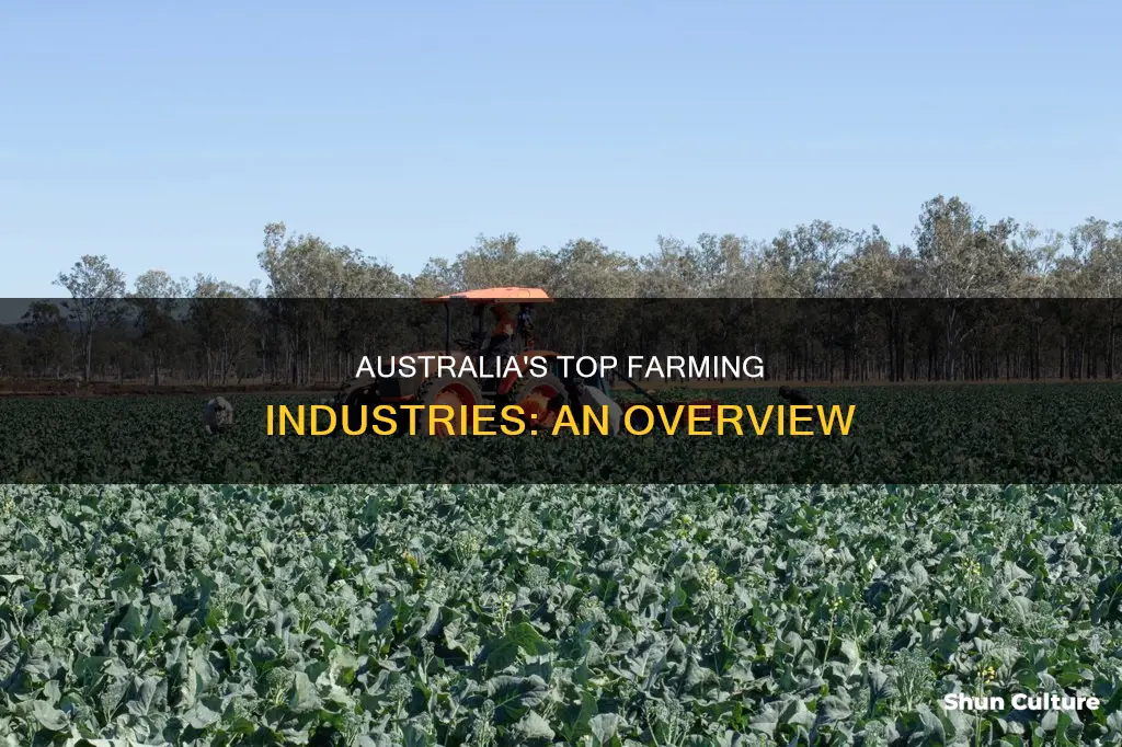 what are the big farming industries in australia