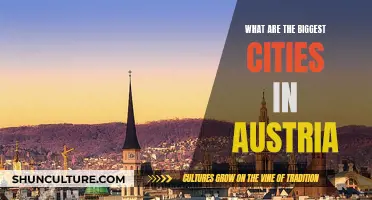 Austria's Largest Urban Centers: A Comprehensive Overview