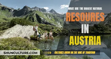 Austria's Natural Wealth: Exploring the Country's Top Resources