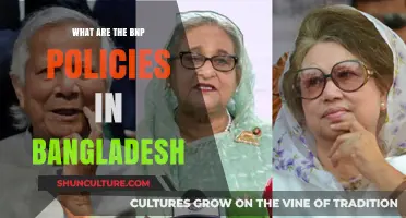 Understanding BNP's Political Policies and Agenda in Bangladesh