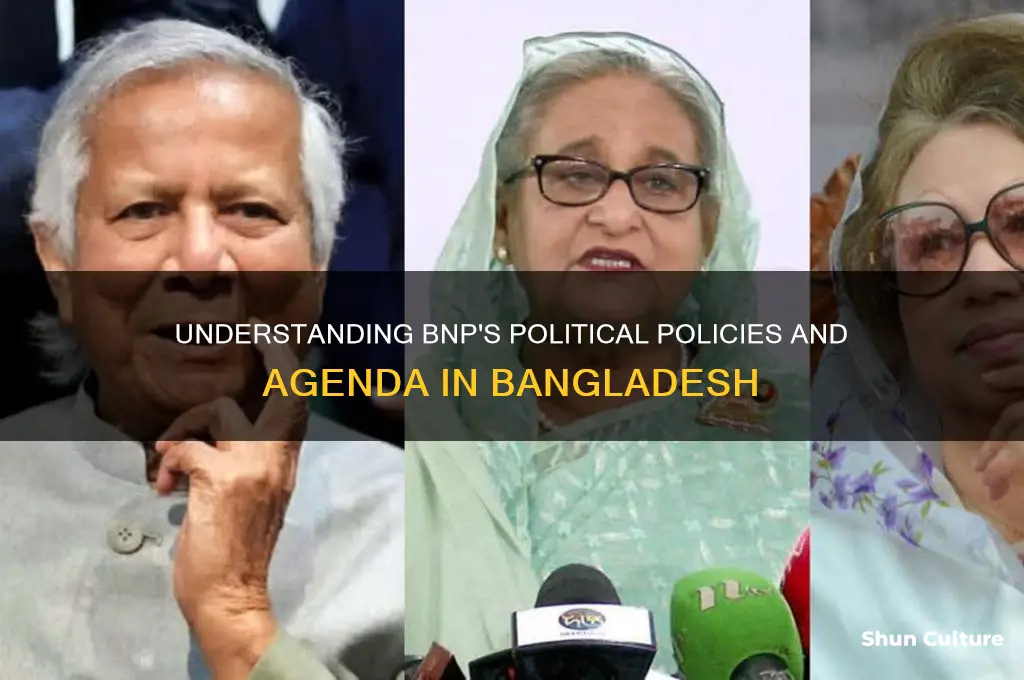 what are the bnp policies in bangladesh