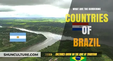 Brazil's Neighbors: Exploring the Countries Sharing Borders with Brazil