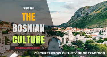 Exploring Bosnia's Rich Cultural Heritage: Traditions, Cuisine, and History