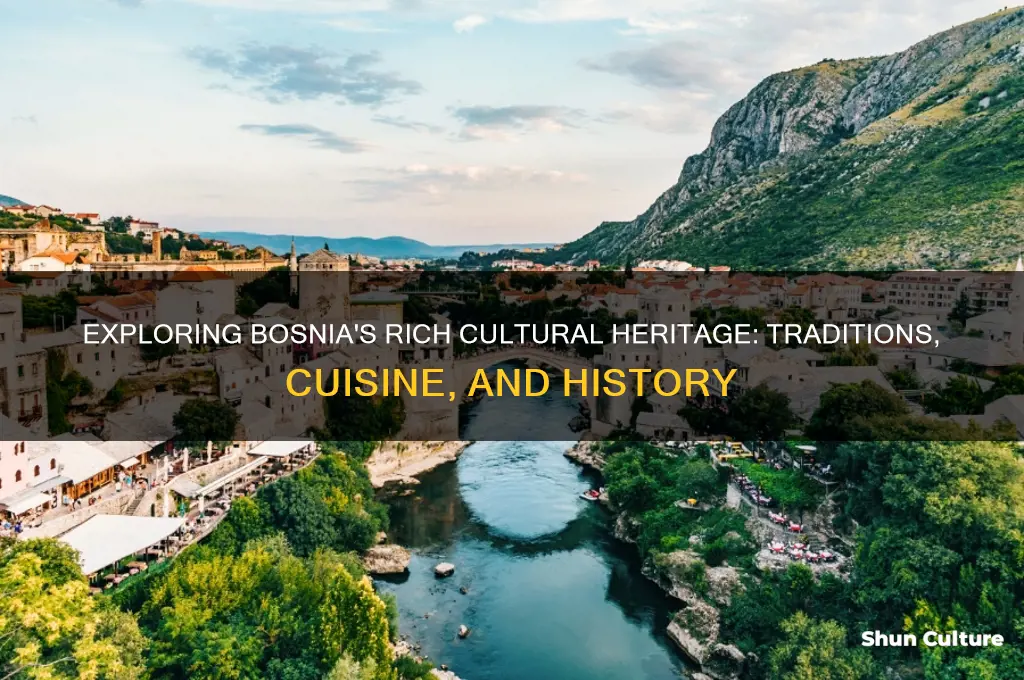 what are the bosnian culture