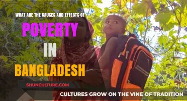Poverty in Bangladesh: Causes, Effects, and Pathways to Progress