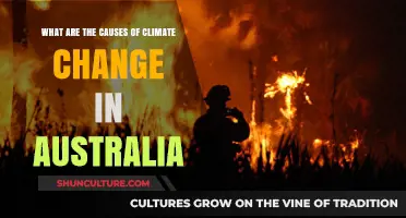 Climate Change in Australia: Understanding the Causes
