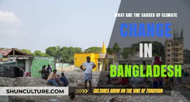 Bangladesh's Climate Crisis: Exploring the Root Causes of Environmental Change