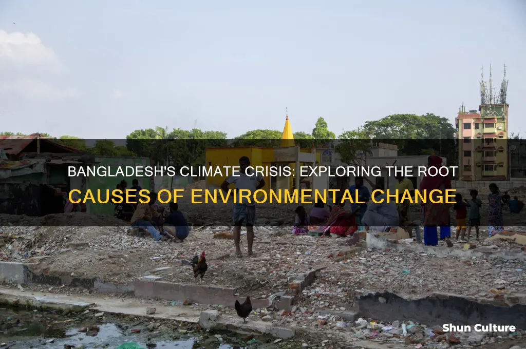 what are the causes of climate change in bangladesh