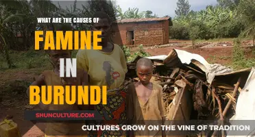 Unraveling the Complex Causes of Famine in Burundi: A Deep Dive