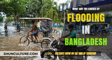 Understanding Bangladesh's Flooding Crisis: Key Causes and Factors Explained