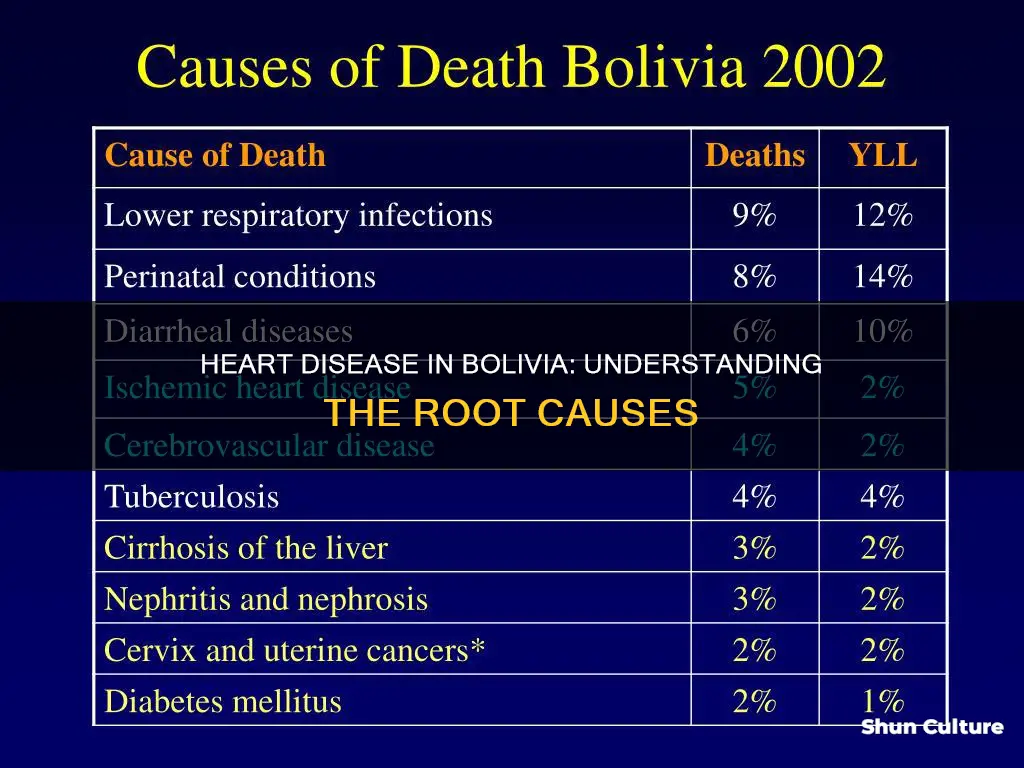 what are the causes of heart disease in bolivia