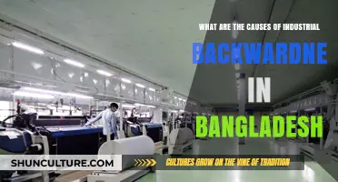 Unraveling Bangladesh's Industrial Lag: Key Causes and Challenges