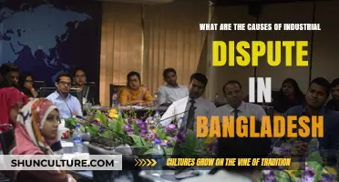 Exploring Key Causes of Industrial Disputes in Bangladesh