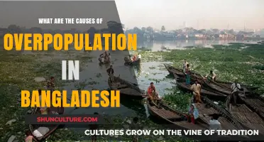 Exploring the Root Causes of Overpopulation in Bangladesh