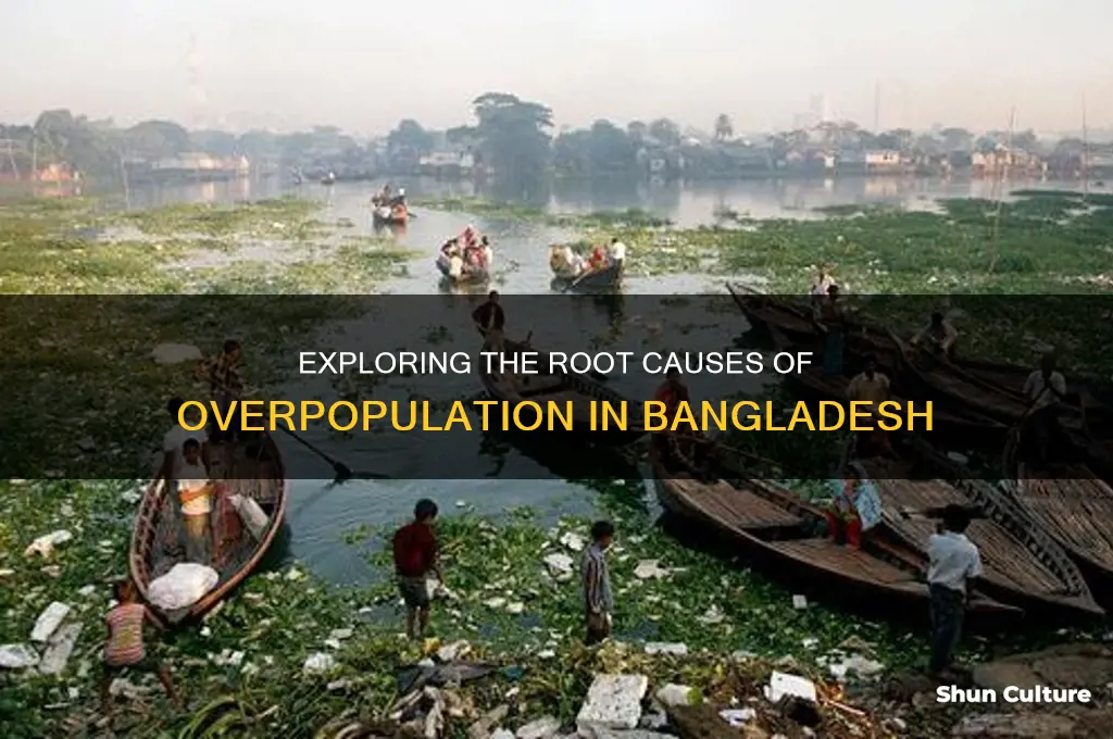 what are the causes of overpopulation in bangladesh
