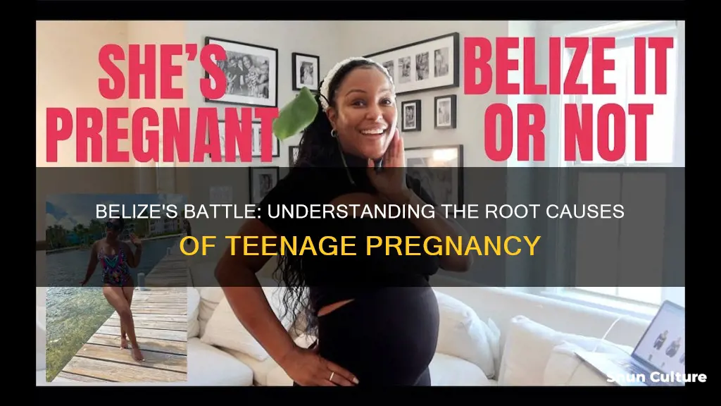 what are the causes of teenage pregnancy in belize