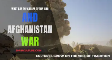 The Tangled Threads of Iraq and Afghanistan: Unraveling the Complex Causes of Two Modern Wars