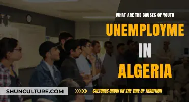 Understanding Youth Unemployment in Algeria: Key Causes and Challenges