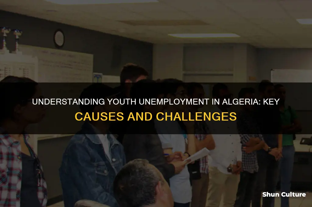 what are the causes of youth unemployment in algeria
